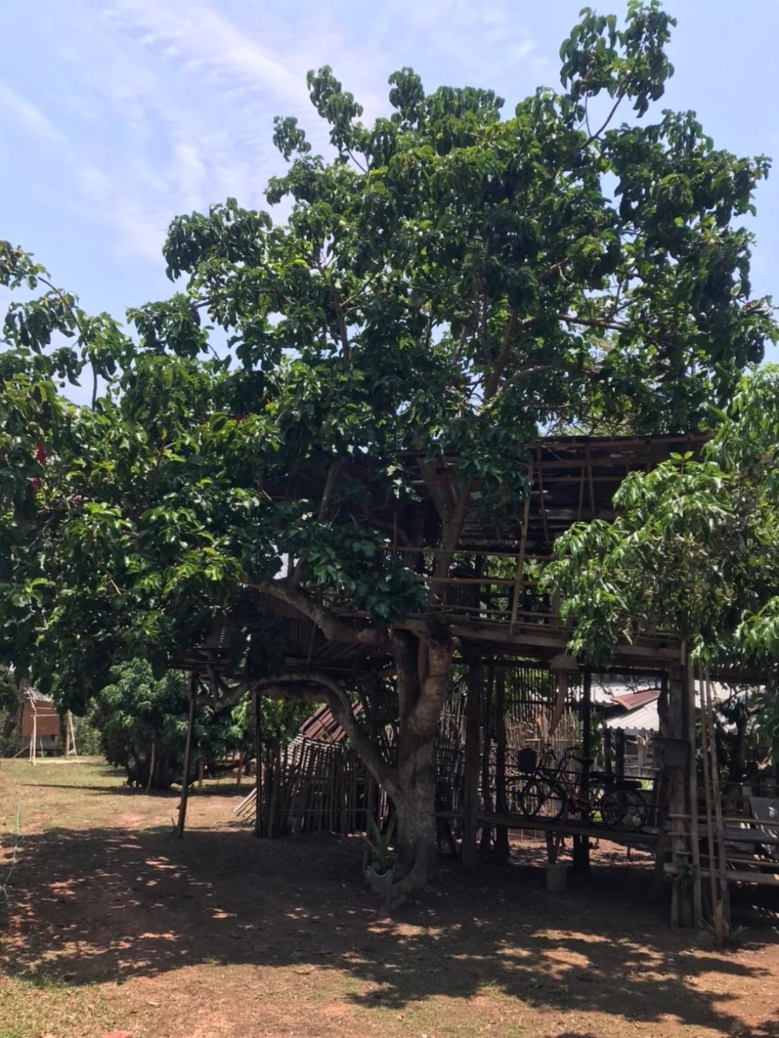 Amando_Tent Hotel Phayao Eksteriør billede
